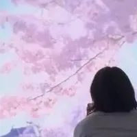 東北の魅力体感