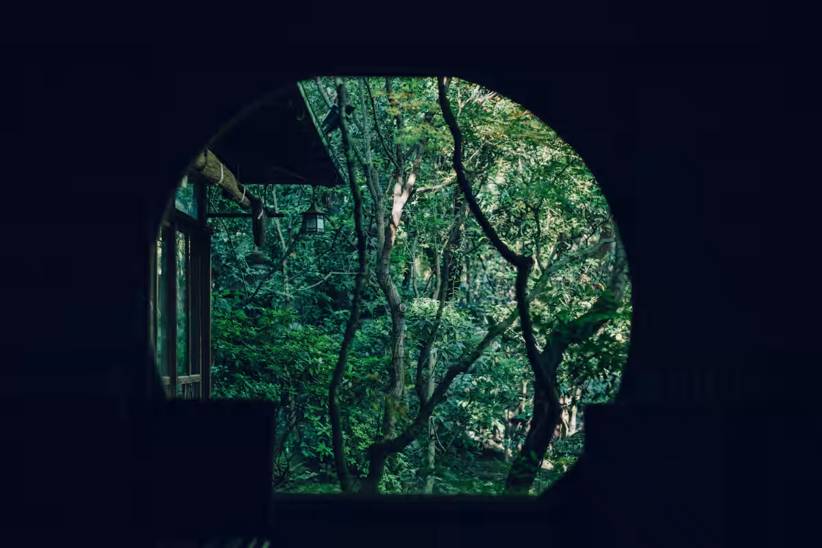 画像8