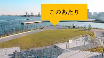 画像8