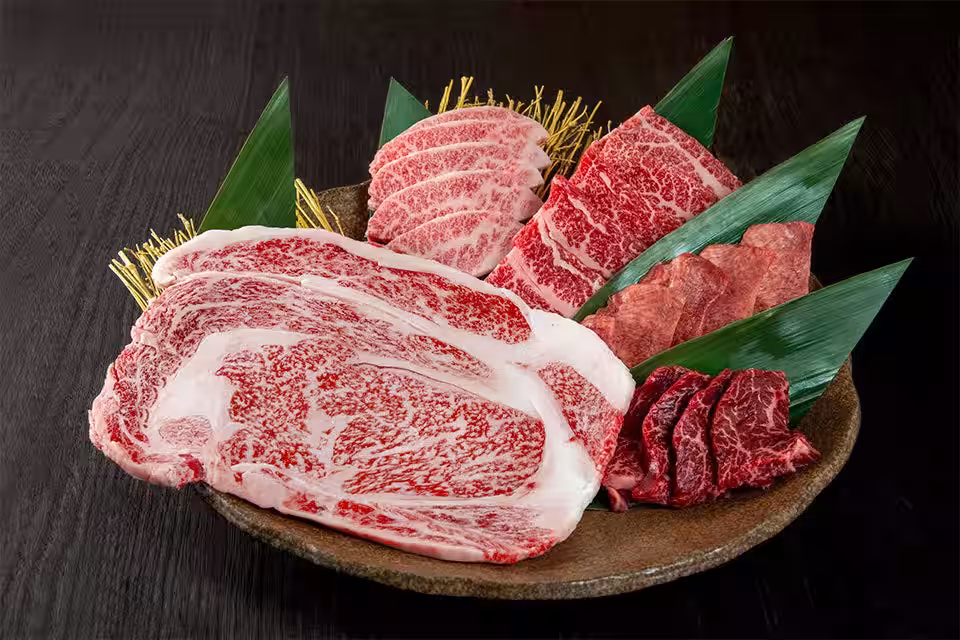 画像9