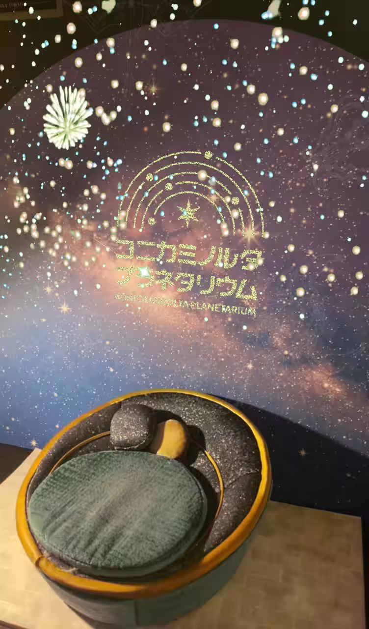 画像12