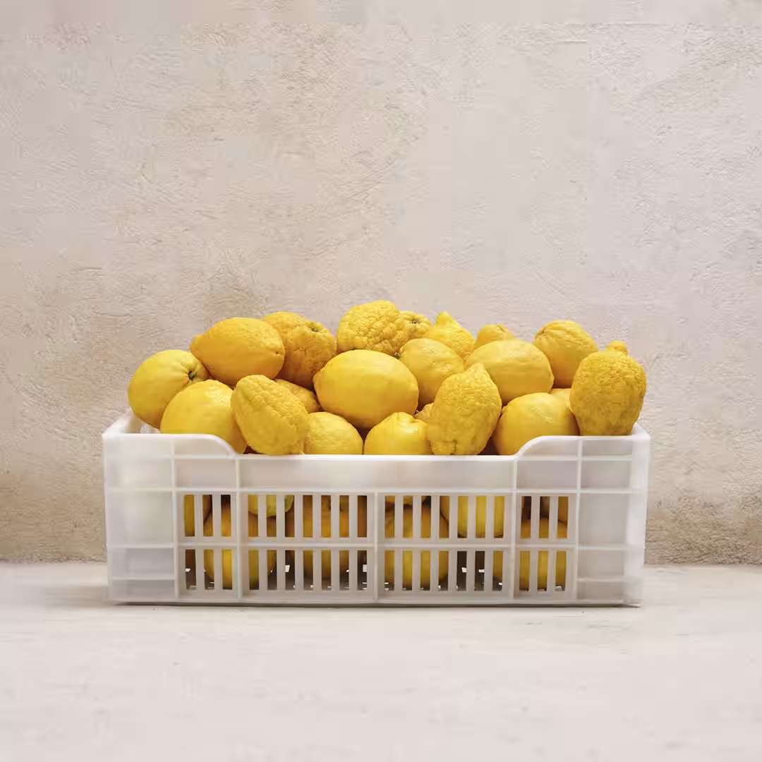 画像5