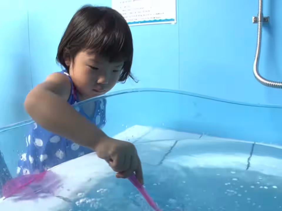 画像12