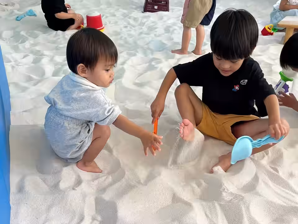 画像8