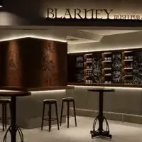 ブラー二ーアイリッシュ受賞