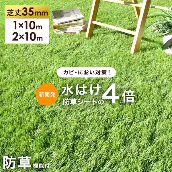 画像8
