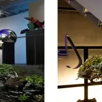 盆栽とアートの出会い