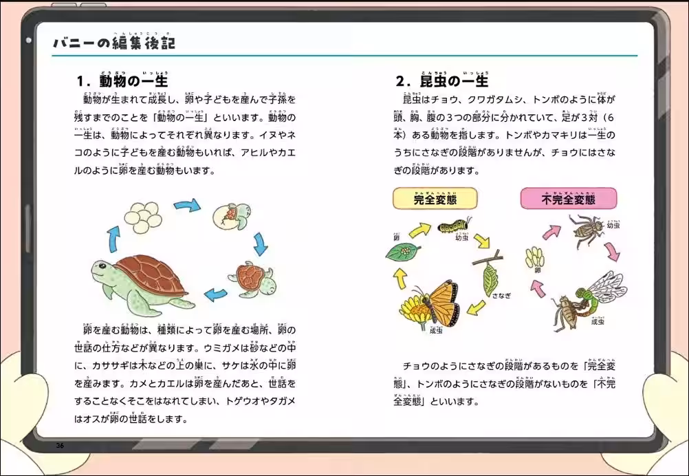 画像7