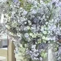 青山新店舗情報