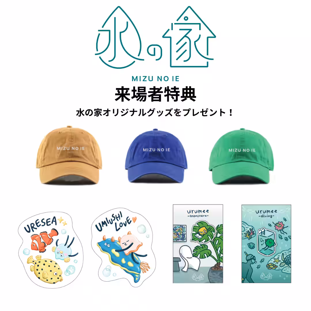 画像12