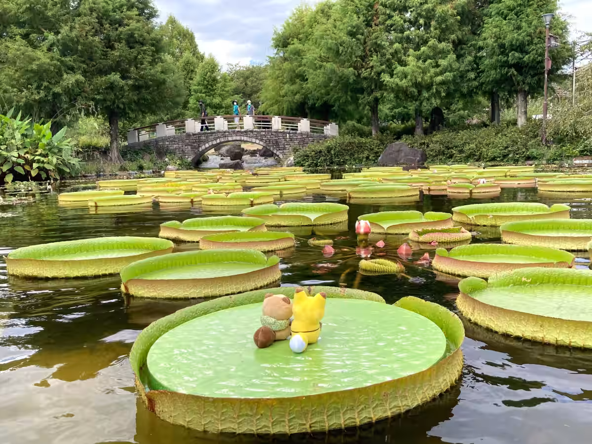 画像8