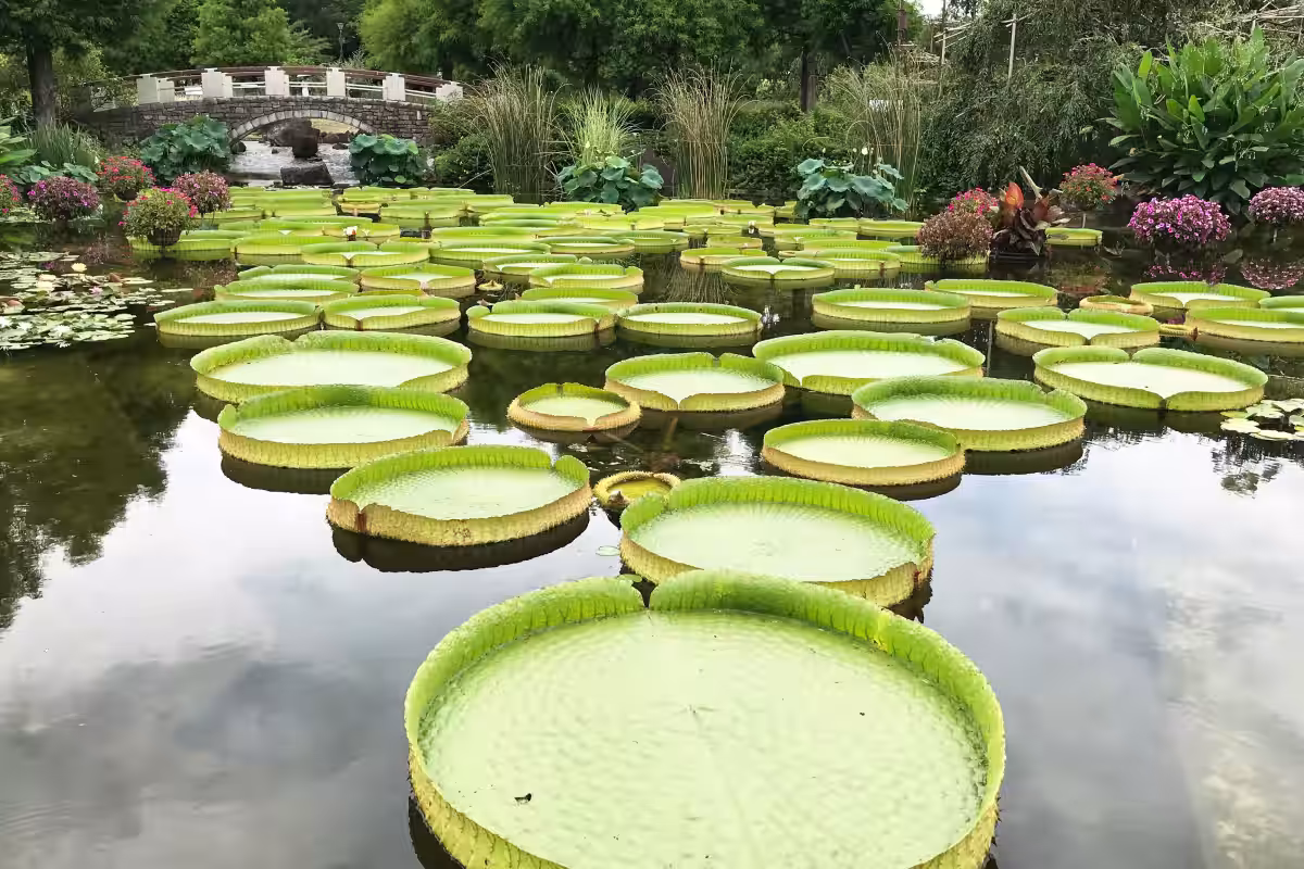 画像16