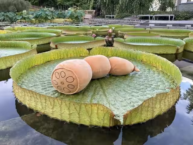 画像12