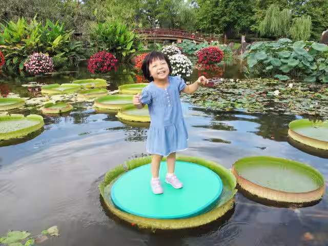 画像17