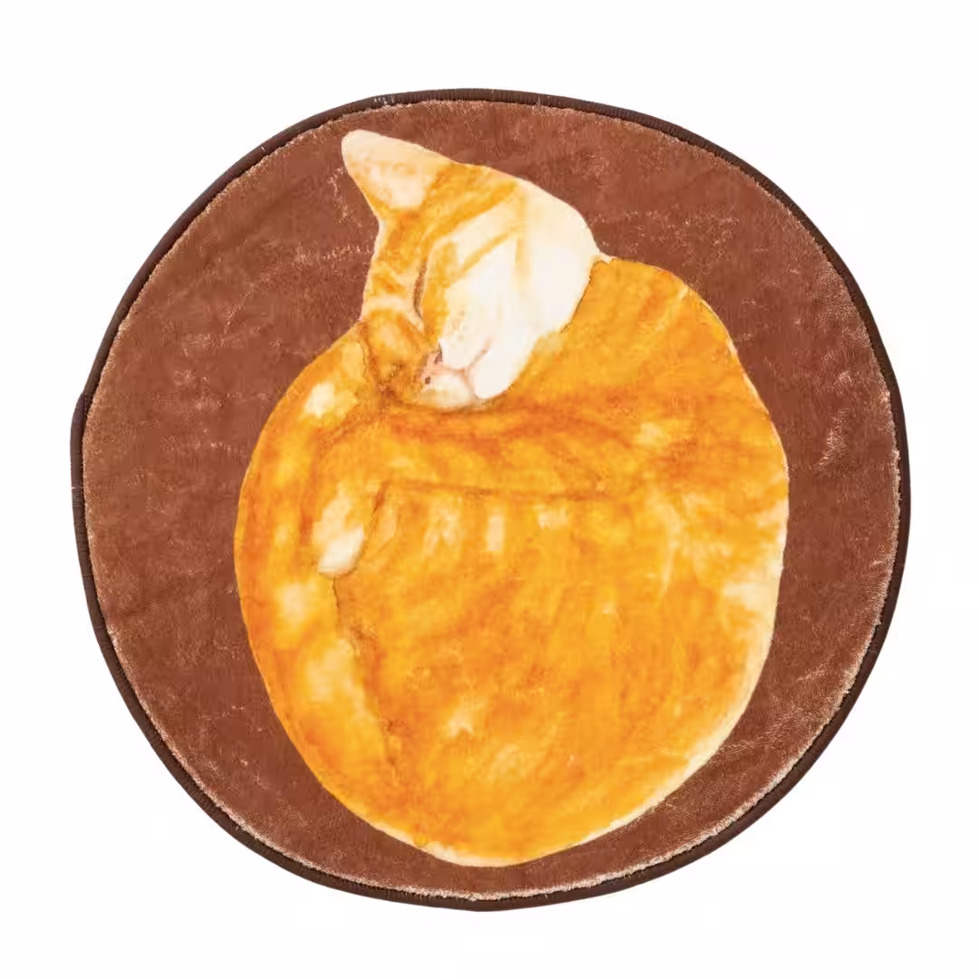 画像16
