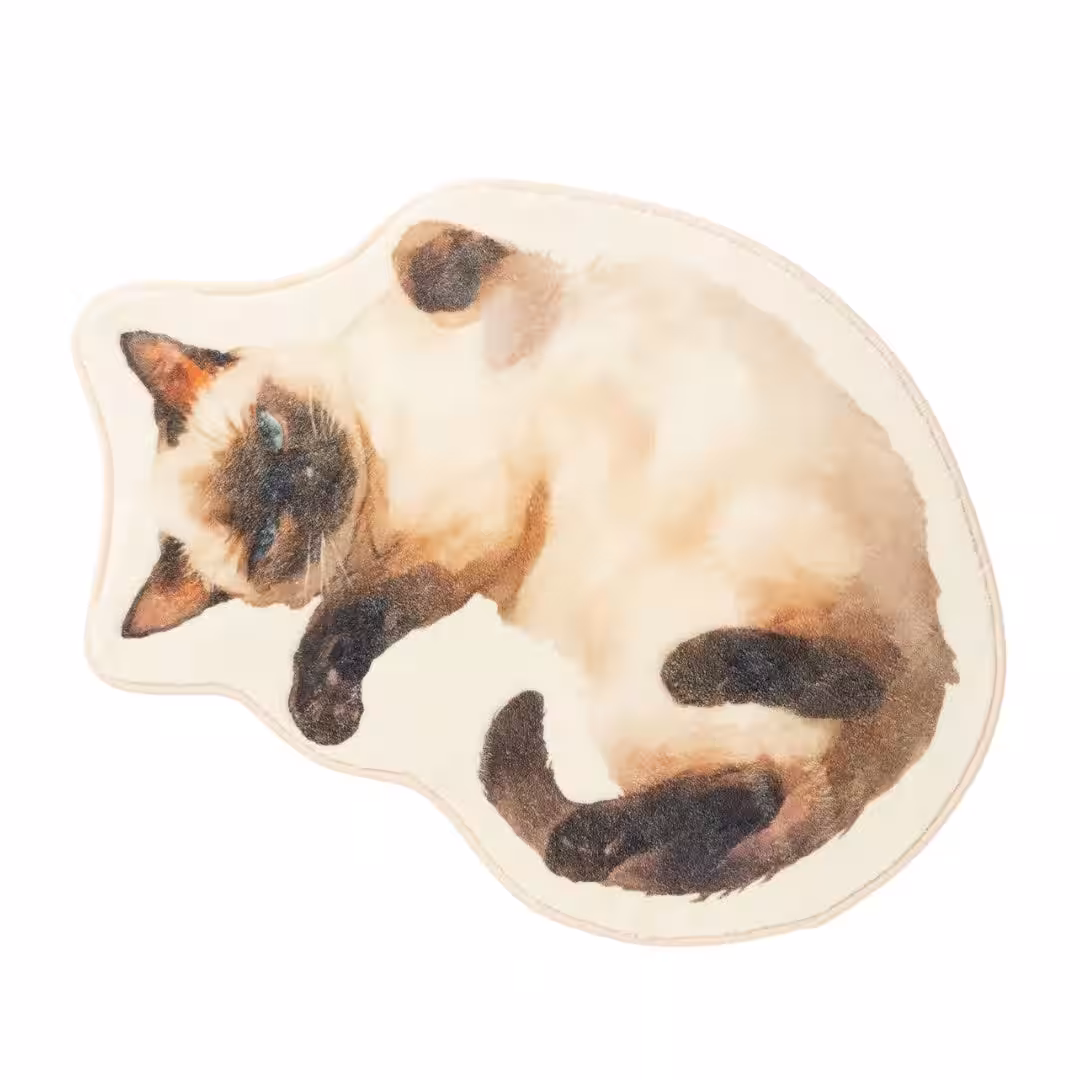 画像20