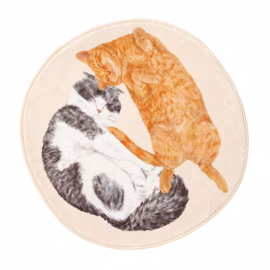 画像14