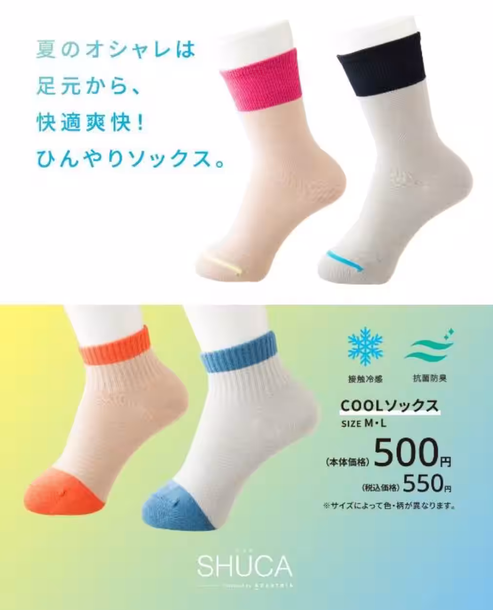 画像5
