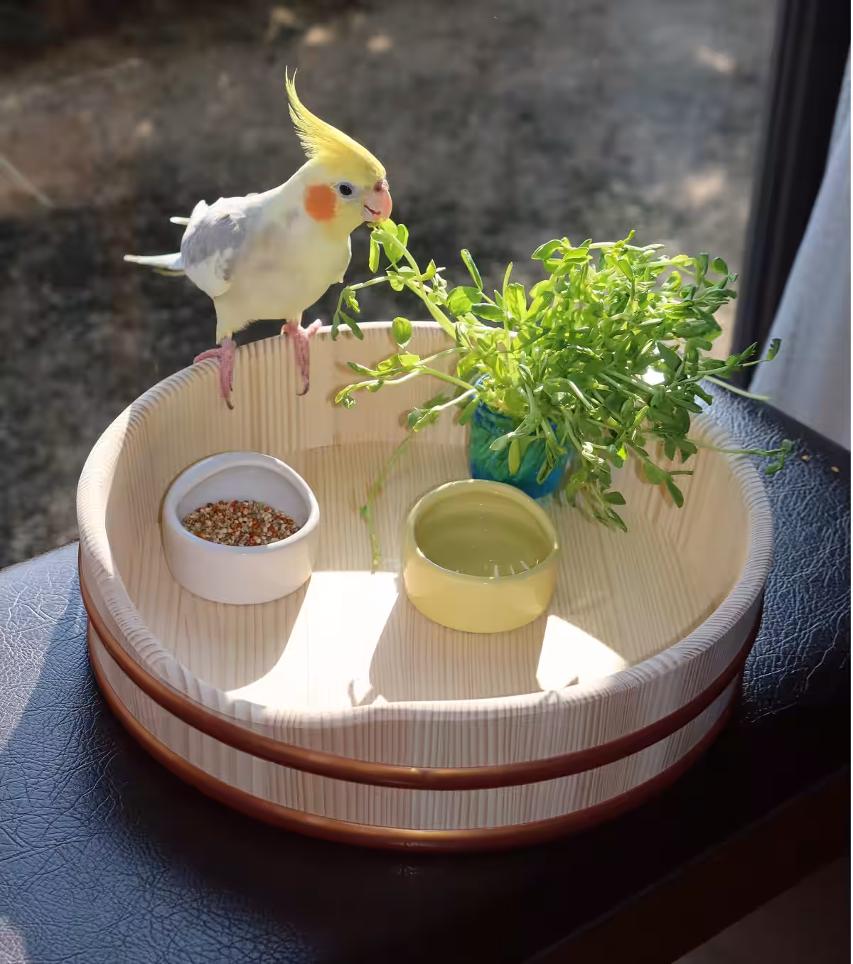 画像9