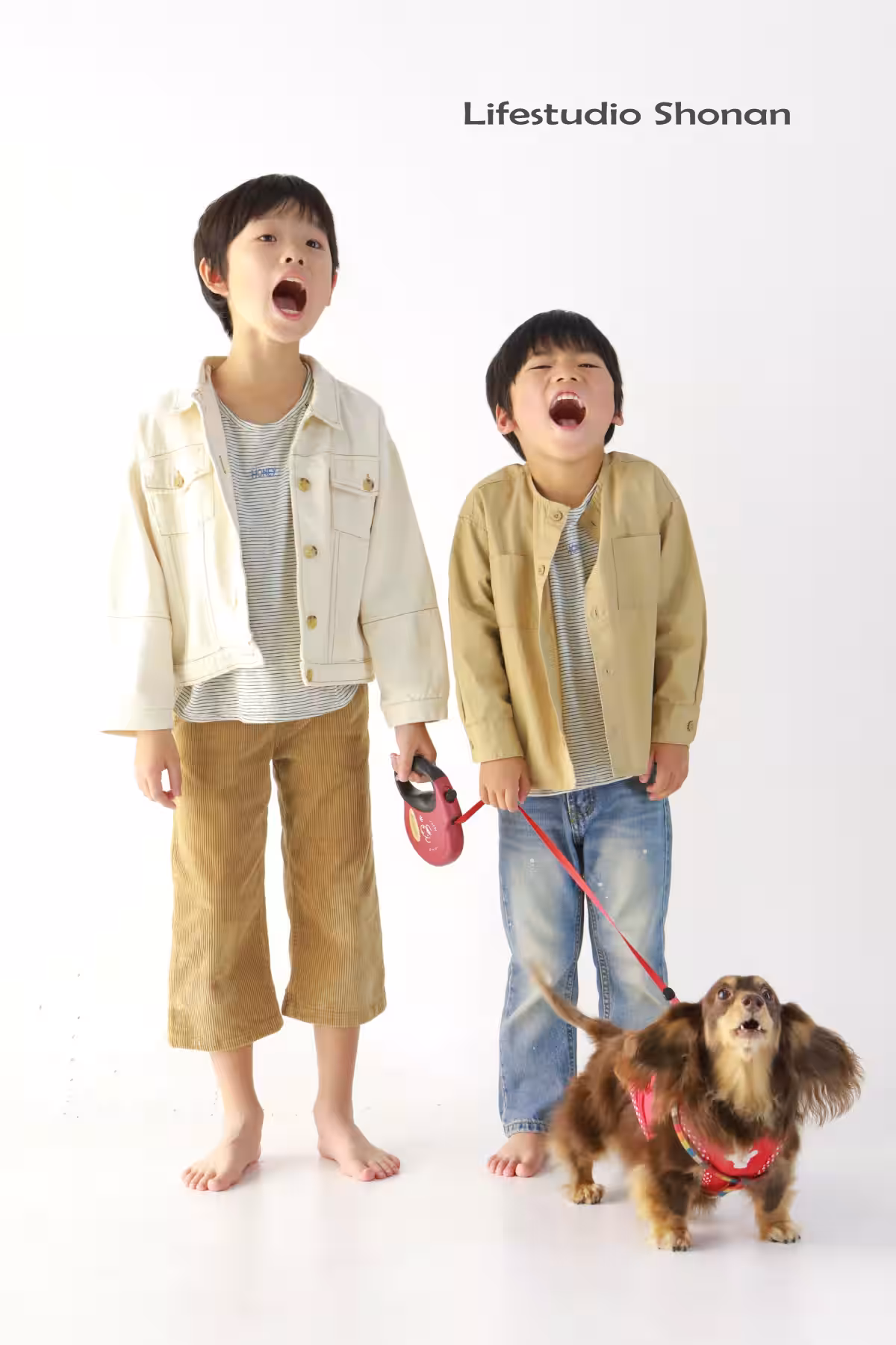 画像7