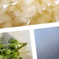 塩麹ワークショップ