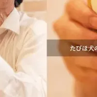 逆転の広告手法