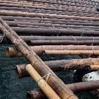 瀬戸内海ごみ削減