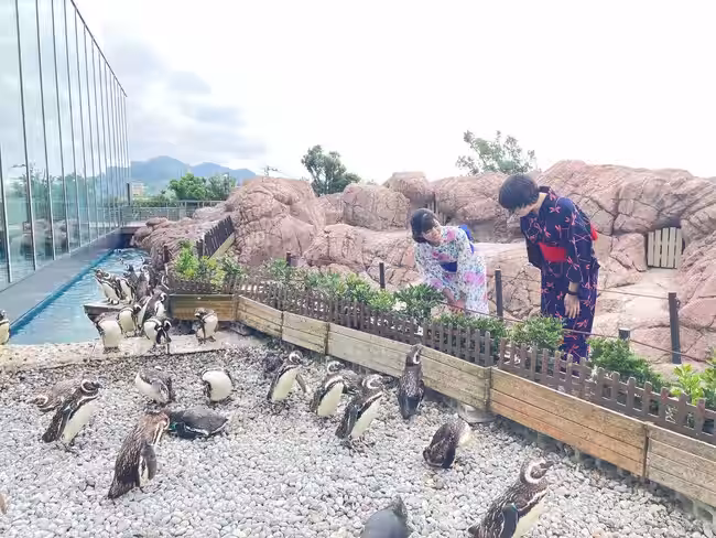 画像26