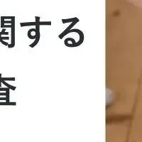 片付けの現実とは