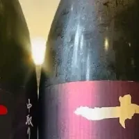 日本酒飲み比べ体験