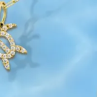 新作アミケッティ登場