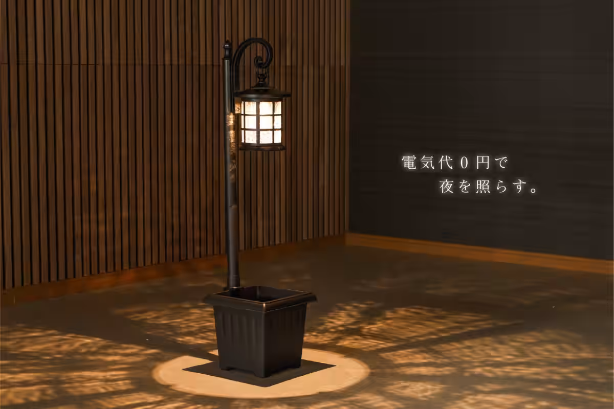 画像12