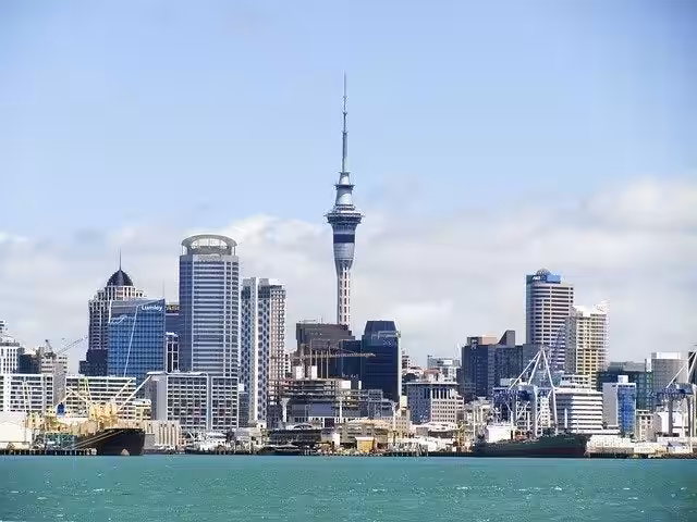 画像14