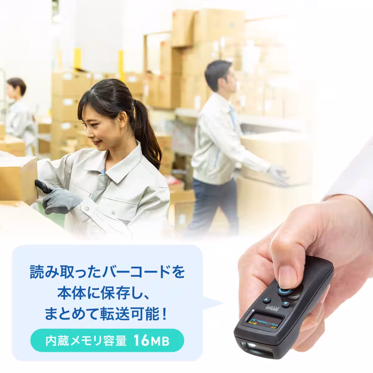 画像15