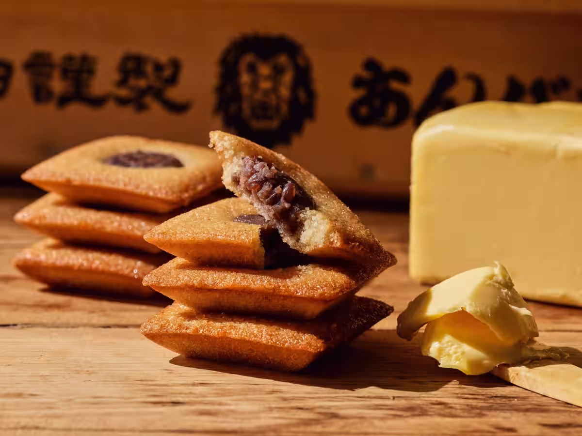 画像15