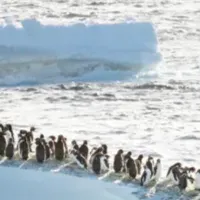 南極クルーズ体験