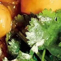 台湾フェアで味覚探訪