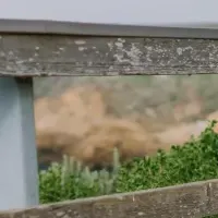 LEMSが日本初上陸