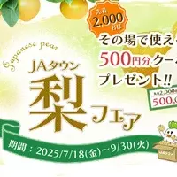 JAタウン梨フェア
