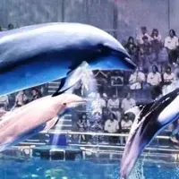 アクアパーク品川の革新