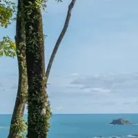 プラスチック削減の潮流