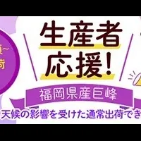 巨峰で生産者応援