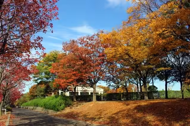 画像7
