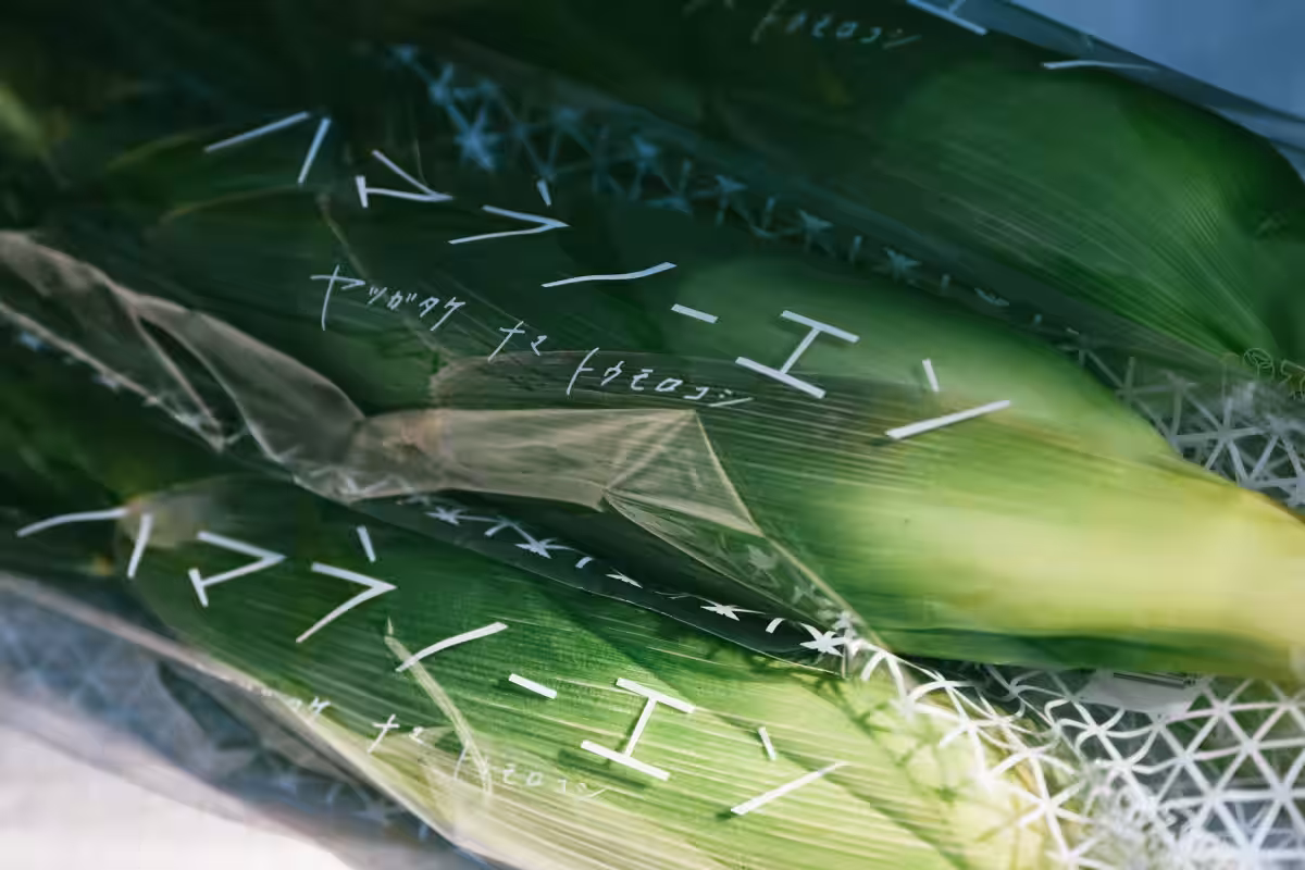 画像9