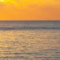 海と恋愛の調査