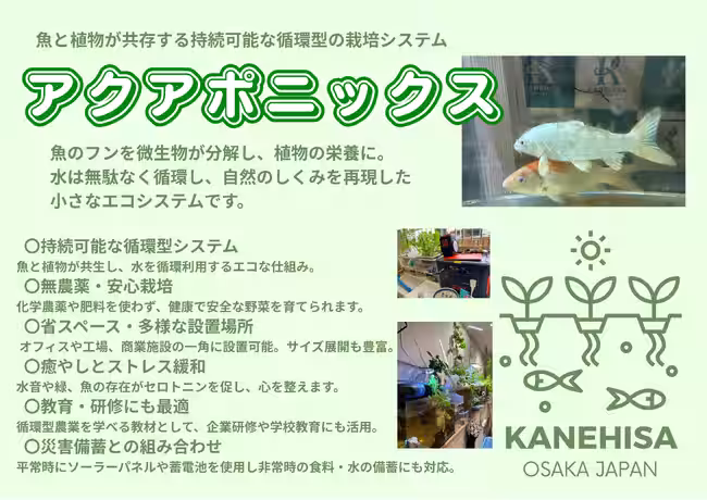 画像26
