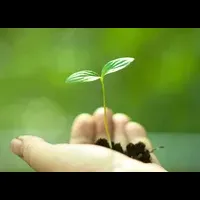 ESG投資で高評価