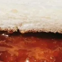 小川フードの出店情報