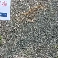 木更津港まつりの駐車場