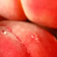 福島の桃まつり
